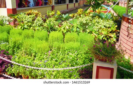 A beautiful garden of green trees and plants  with colourful flower and other nice structures at Mayapur in India. - Shutterstock ID 1461513269
