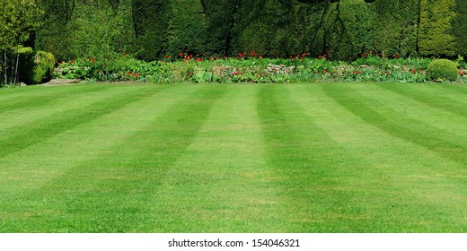 Beautiful Garden Lawn