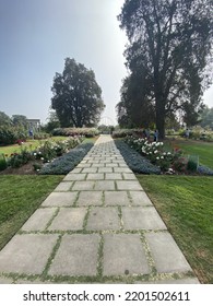 Beautiful Garden Pathway In A Open Garden In Anaheim, CA