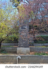 The Beautiful Garden Of Severance Hospital