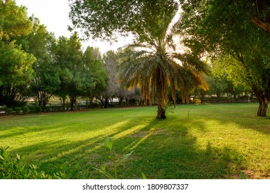 Kuwait Nature Images, & Vectors | Shutterstock