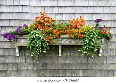 A beautiful garden window box planted with a variety of summer flowers.