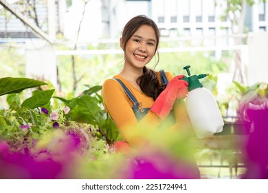 Beautiful gardener wear gloves using bottle spraying mix Bio fertilizer to green plants in the farmimg. Maintenance of non-toxic vegetables for eating in the family. In the evening. - Powered by Shutterstock