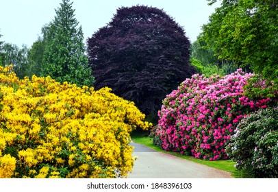 Beautiful Gardens Flowers In Spring Blooming