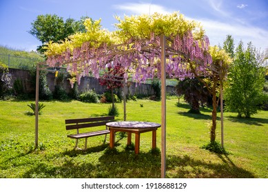 Beautiful gazebo covered with flowers  with wooden furniture , shady place to relax in summer garden