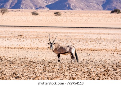Beautiful Gemsbok, also called Oryx antelope, standing in the Namib Desert in Namibia, Africa, near the town of Lüderitz  / Lüderitz. Mountains and train tracks in the background.