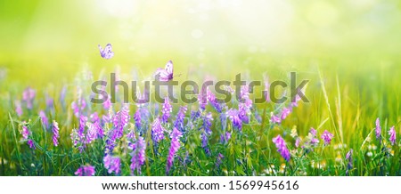 Beautiful gentle spring summer natural background. Butterflies are fluttering over  meadow of wild flowers and young juicy green grass in sunlight on nature, blurred background, soft focus