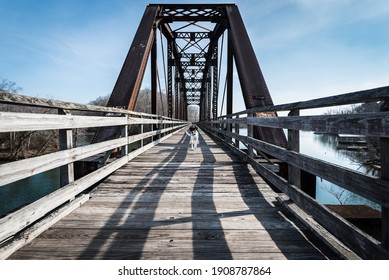 Beautiful German Shorthaired Pointer Running on an old iron railroad bridge that was converted to a trail 