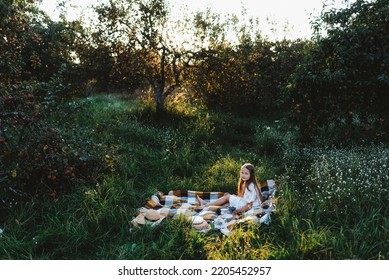 A Beautiful Girl In An Apple Orchard Having A Picnic At Sunset