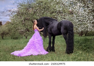 Beautiful girl with a black Friesian horse in spring in a blooming garden in spring. Bride with horse