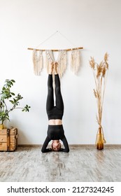 A beautiful girl in a black suit stands on her elbows upside down. Headstand.Shirshasana.Challenging Elements of Yoga for Advanced Learners. High quality photo