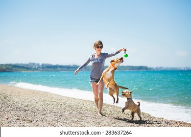 Beautiful girl in a blue blouse and shorts playing with dogs on the beach