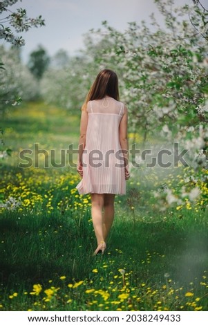 Beautiful girl in a cherry blossom garden. Woman in a pink dress and a field of yellow dandelions. Blooming cherry orchard and charming girl in a dress. Beautiful warm spring