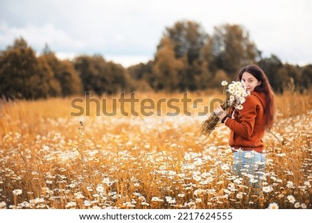 Beautiful girl collects daisies in autumn field eveninig sunset