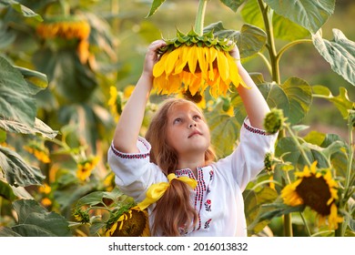 A beautiful girl dressed embroidered shirt with huge sunflower. Love Ukraine concept. Undependence, flag, constitution day of Ukraine