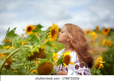 Sunflower Ukraine Hd Stock Images Shutterstock