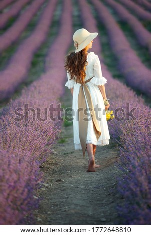 Similar – #A# Lavender Light