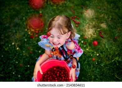Beautiful girl in the garden. Happy girl with cherries. Girl in the cherry orchard. Cherries. The Cherry Orchard. Beautiful girl tosses berries. Berries. Childhood. Delicious cherries.  - Shutterstock ID 2143834611