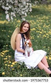 beautiful girl in a hat with a dog cavalier king charles spaniel puppy near a blossoming apple tree