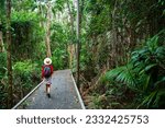 beautiful girl in hat walking through the dense bush near sunshite coast and brisbane, queensland, australia; unique plants in maroochy wetland sanctuary	
