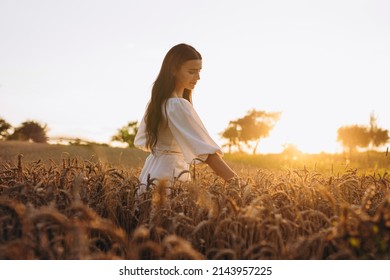 The beautiful girl is having fun and holding a wheat in the big field. She is wearing a white shirt and is looking amazing. We can see rays of sun. There is a big cornfield behind the girl.
