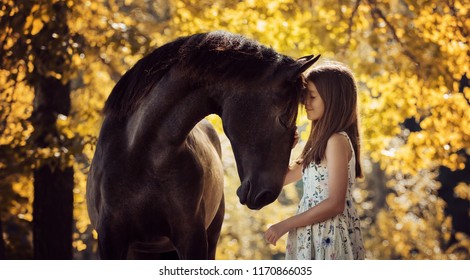 Beautiful girl with her andalusian horse and beautiful warm sunset in the autumn forest - Powered by Shutterstock