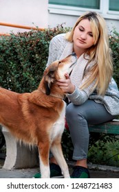 Beautiful Girl With His Shetland Sheepdog Dog Sitting And Posing In Front Of Camera On Wooden Bench At City Park. Portrait Of Owner And Rough Collie Dog Enjoys, Resting And Petting Together Outdoors.