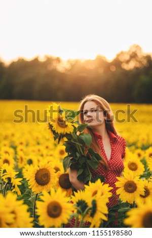 Beautiful girl in a huge yellow field of sunflowers. toning