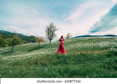 Beautiful girl with long hair in pink red dress in daffodil field, blooming narcissus. 