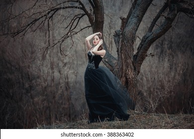 37,873 Princess in the forest Images, Stock Photos & Vectors | Shutterstock