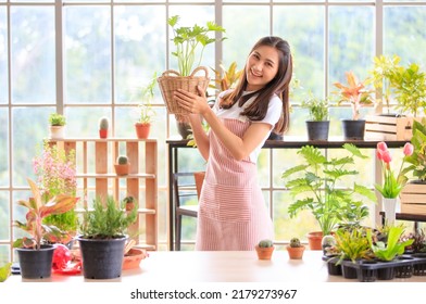 Beautiful Girl Long Middle Part Hair Style Wear Shirt Pink Stripe Pattern Apron Holding Philodendro Xanadu Pot Smiling Standing In White Mirror Room Looking At Camera Surrounded Air Filtering Plants 