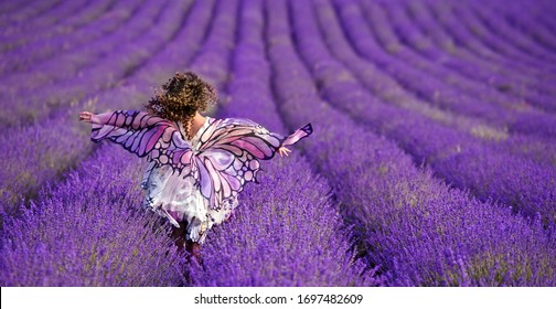 Beautiful girl on the lavender field. Girl with curly hair. Butterfly
