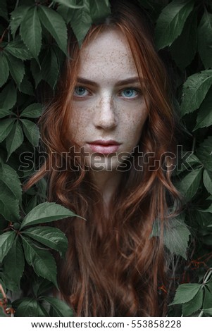 Similar – ein Mädchen mit blauen Augen und langem Haar, das sich mit einer Gerbera-Blüte bedeckt