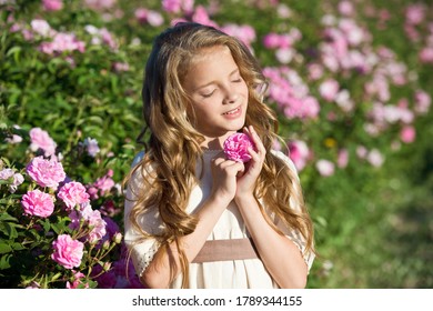 Beautiful Girl In Roses Wreath Collect Roses In Bulgaria In Sunrise. Series.