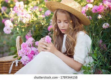 Beautiful Girl In Roses Wreath Collect Roses In Bulgaria In Sunrise. Series.