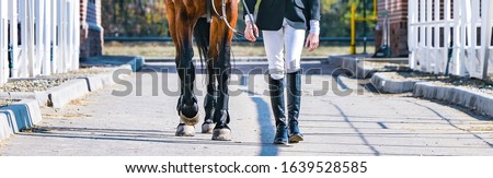 Beautiful girl and sorrel horse in jumping show, equestrian sports. Light-brown horse and girl in uniform going to jump. Horizontal web header or banner design.