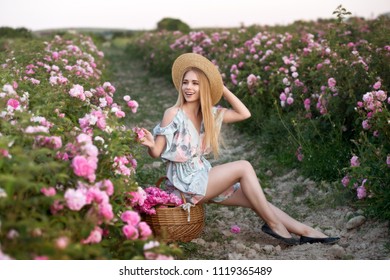 Beautiful Girl In Straw Hat Collect Roses In Bulgaria In Sunrise. Series.