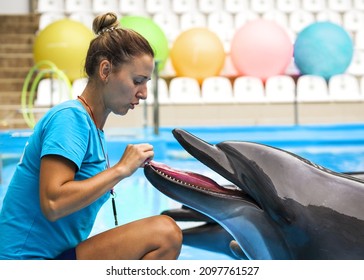 The beautiful girl the trainer with a smile near dolphins. Concept love of the person to marine animals. Harmony in the nature. Careful attitude to animals - Shutterstock ID 2097761527