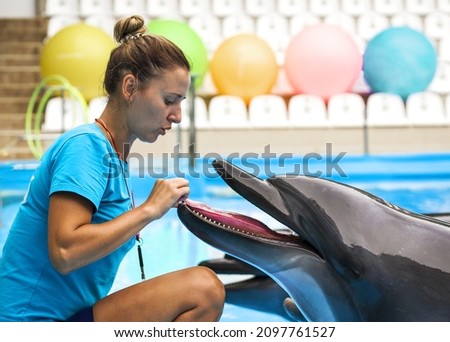 The beautiful girl the trainer with a smile near dolphins. Concept love of the person to marine animals. Harmony in the nature. Careful attitude to animals