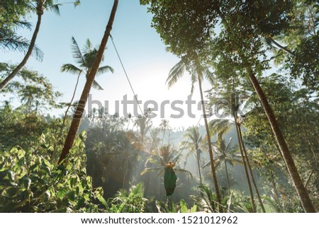 Beautiful girl visiting the Bali rice fields in tegalalang, ubud, swing over the jungle. Concept aboutwanderlust traveling and tourism lifestyle