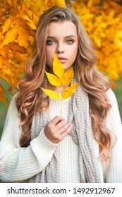 Beautiful girl walking outdoors in autumn. Smiling girl collects yellow leaves in autumn. Young woman enjoying autumn weather.