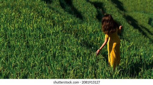 45,698 Rice Girl Images, Stock Photos & Vectors | Shutterstock