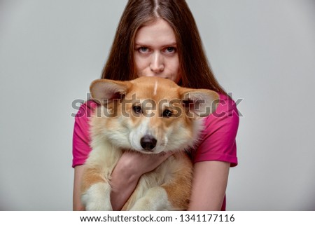 Beautiful girl with a Welsh Corgi on her hands on a gray background, copy space