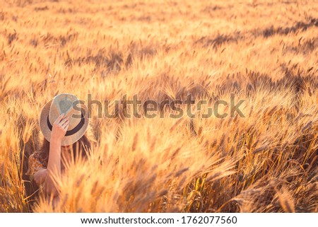 Similar – Woman alone in a field of wheat