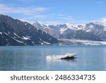 Beautiful glacier picture taken heading towards the Hubbard Glacier in Alaska