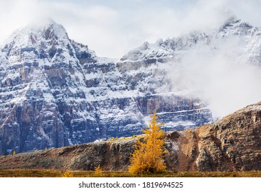 Beautiful golden larches in mountains, Fall season.