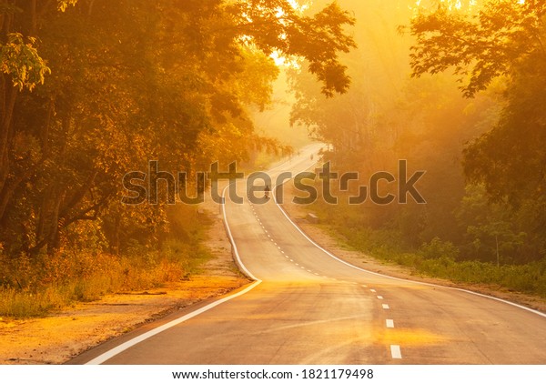 Beautiful Golden Morning Coorg Madikeri Road Stock Photo ...