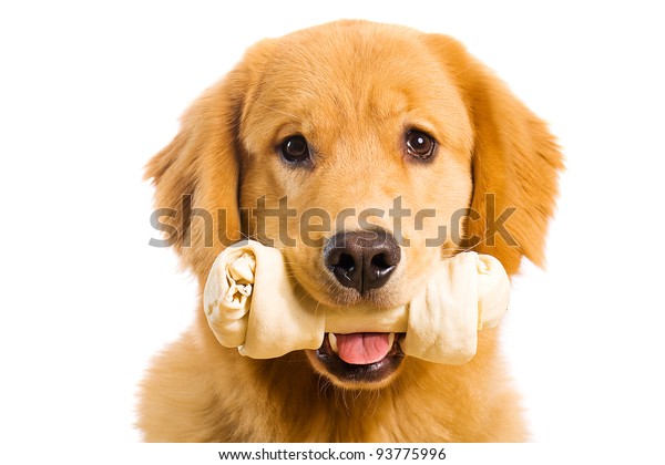 retriever rawhide bones