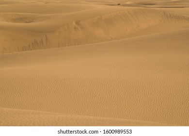 Beautiful golden sand dunes in desert background near Maspalomas, Gran Canaria at Canary islands, Spain