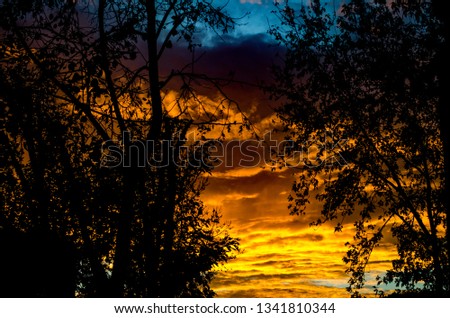 Similar – Image, Stock Photo Dramatic sunset Nature